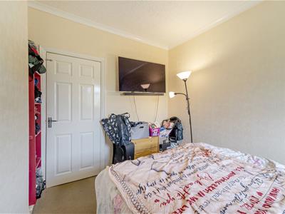 Picture 19